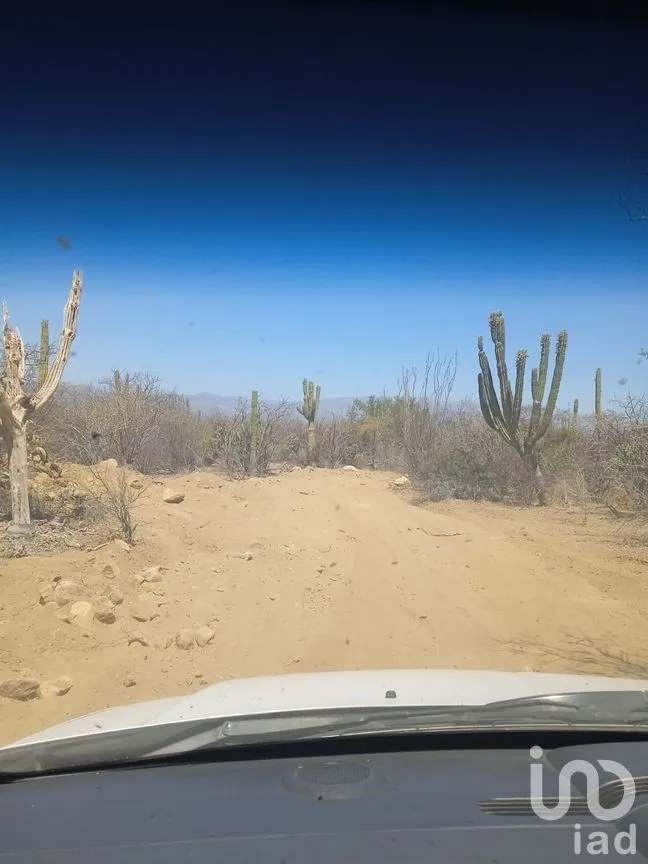 Terreno en Venta en Ensenada de Muertos, La Paz, Baja California Sur | NEX-172518 | iad México | Foto 16 de 22