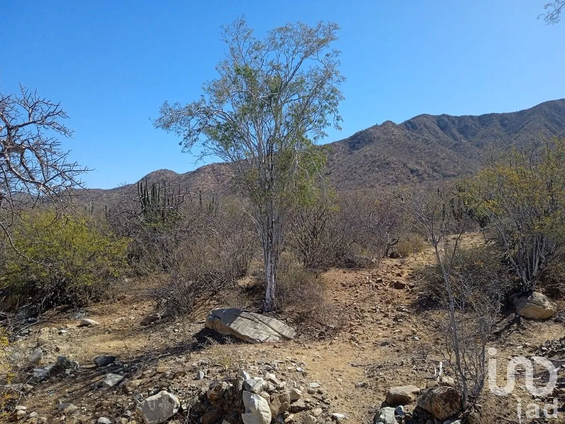 Terreno en Venta en Ensenada de Muertos, La Paz, Baja California Sur | NEX-172518 | iad México | Foto 17 de 22
