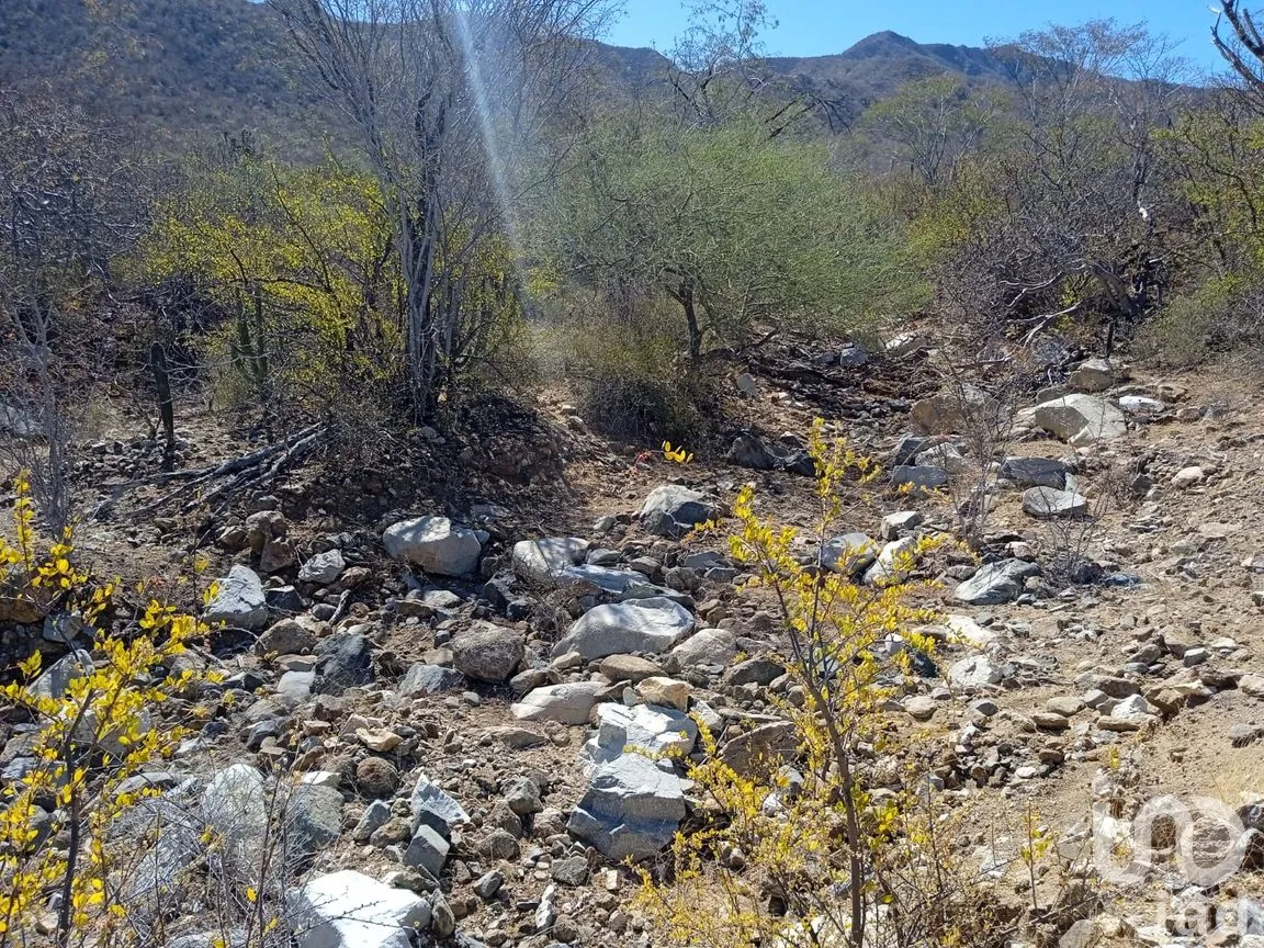 Terreno en Venta en Ensenada de Muertos, La Paz, Baja California Sur | NEX-172518 | iad México | Foto 18 de 22