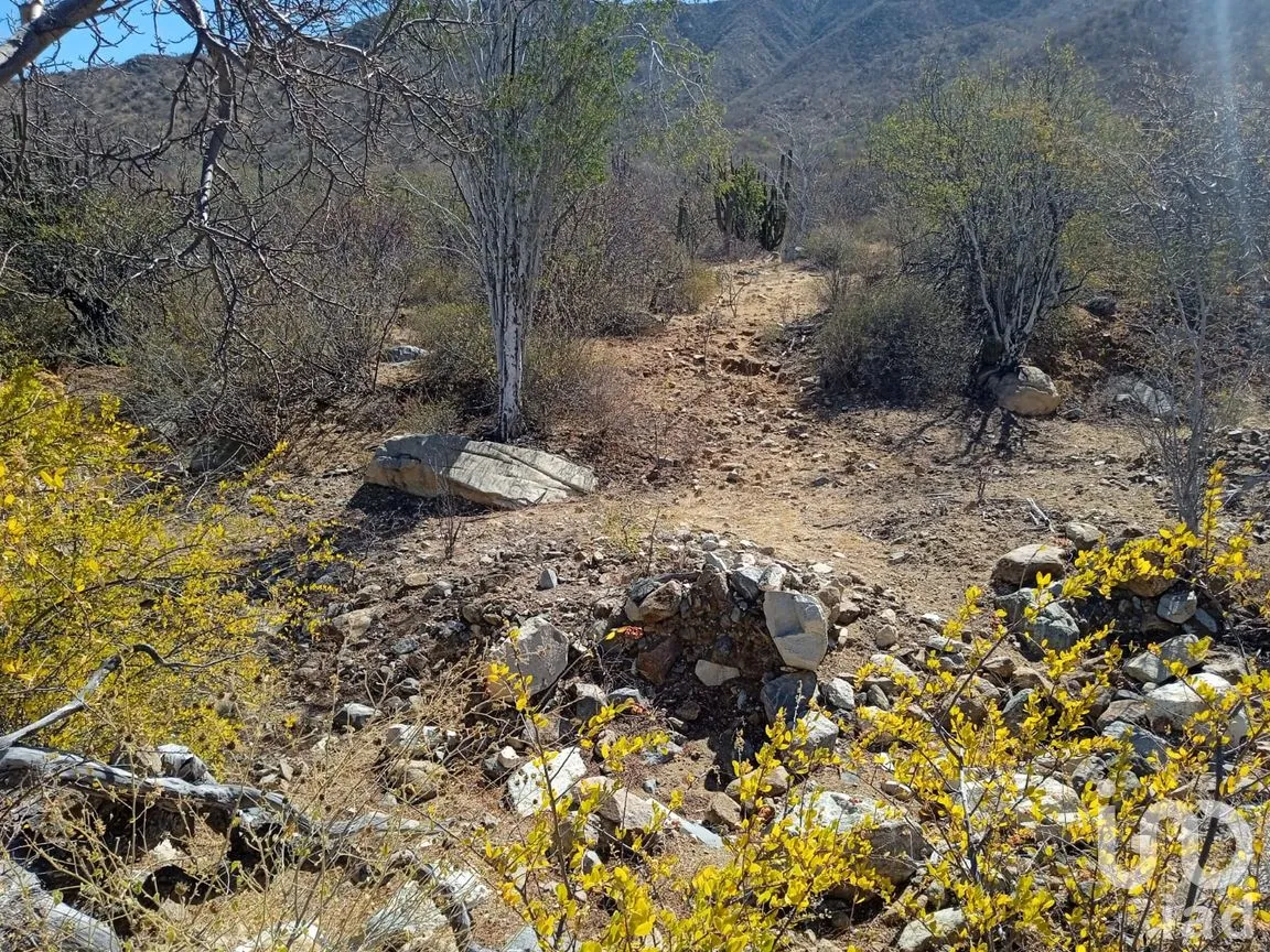 Terreno en Venta en Ensenada de Muertos, La Paz, Baja California Sur | NEX-172518 | iad México | Foto 19 de 22