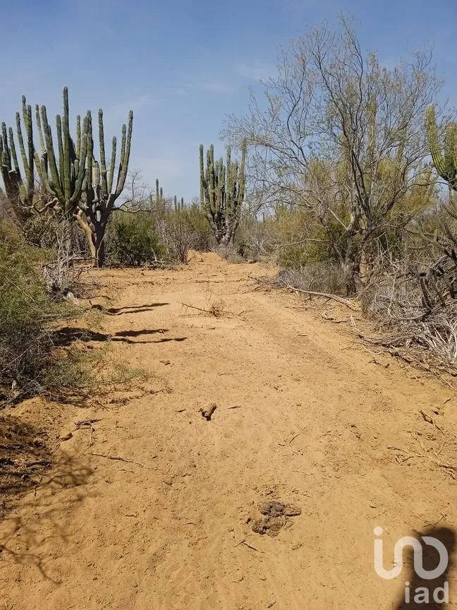 Terreno en Venta en Ensenada de Muertos, La Paz, Baja California Sur | NEX-172518 | iad México | Foto 21 de 22