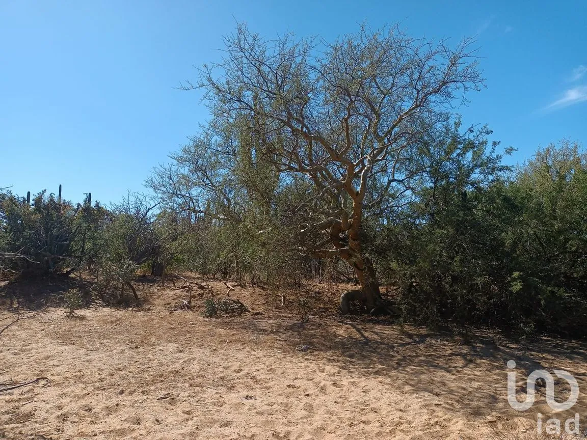 Terreno en Venta en Ensenada de Muertos, La Paz, Baja California Sur | NEX-172518 | iad México | Foto 3 de 22