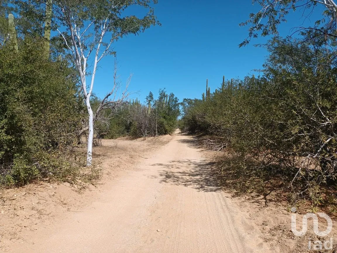 Terreno en Venta en Ensenada de Muertos, La Paz, Baja California Sur | NEX-172518 | iad México | Foto 4 de 22
