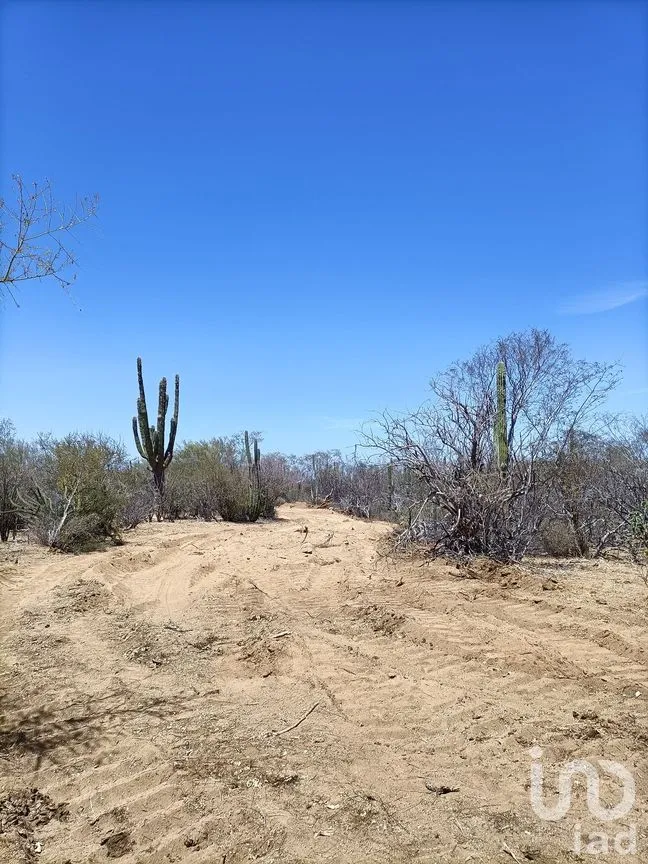 Terreno en Venta en Ensenada de Muertos, La Paz, Baja California Sur | NEX-172518 | iad México | Foto 5 de 22