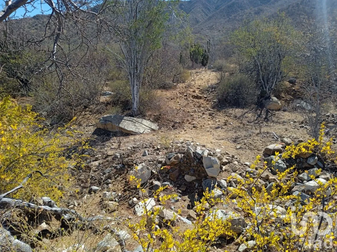 Terreno en Venta en Ensenada de Muertos, La Paz, Baja California Sur | NEX-172518 | iad México | Foto 19 de 22
