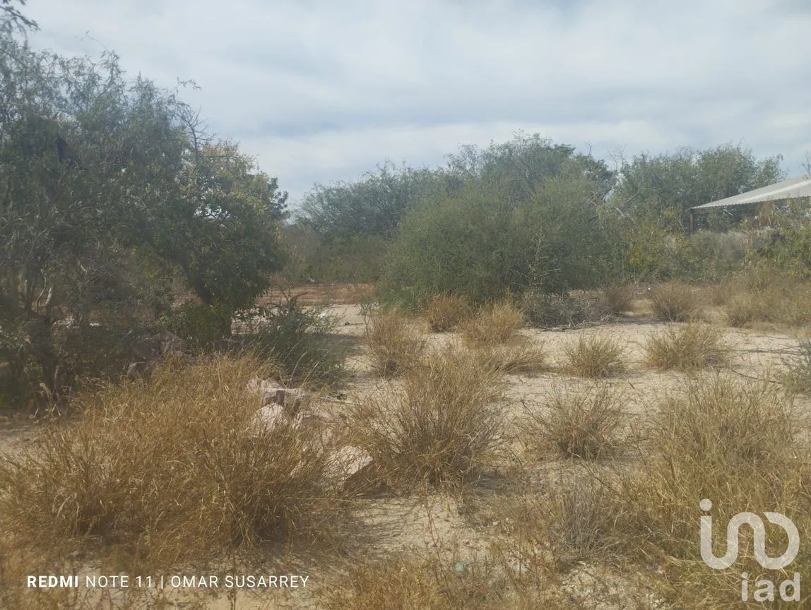Terreno en Venta en El Centenario, La Paz, Baja California Sur | NEX-195957 | iad México | Foto 8 de 13
