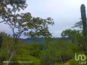 NEX-221423 - Terreno en Venta en San Juan de los Planes, CP 23230, Baja California Sur.