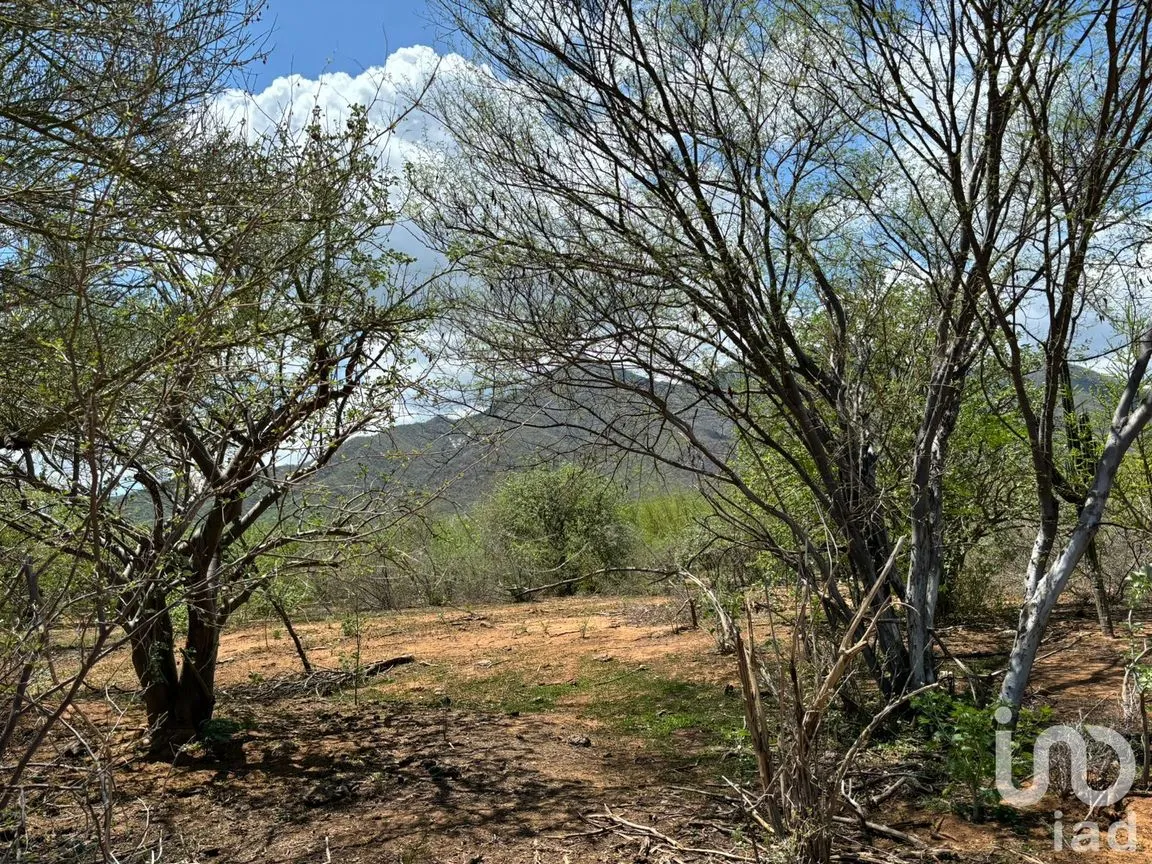 Terreno en Venta en Caduaño, Los Cabos, Baja California Sur | NEX-221590 | iad México | Foto 20 de 24