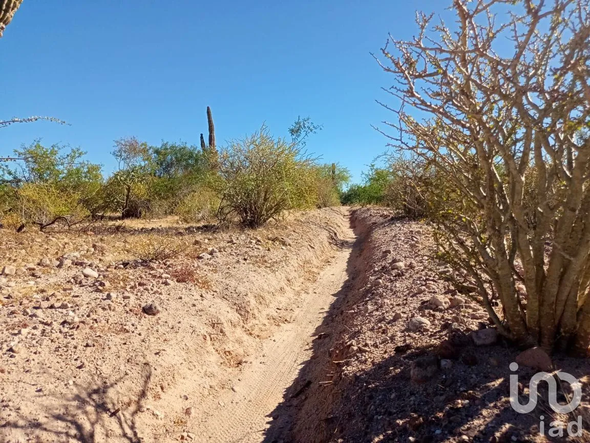 Terreno en Venta en El Centenario, La Paz, Baja California Sur | NEX-221678 | iad México | Foto 7 de 26