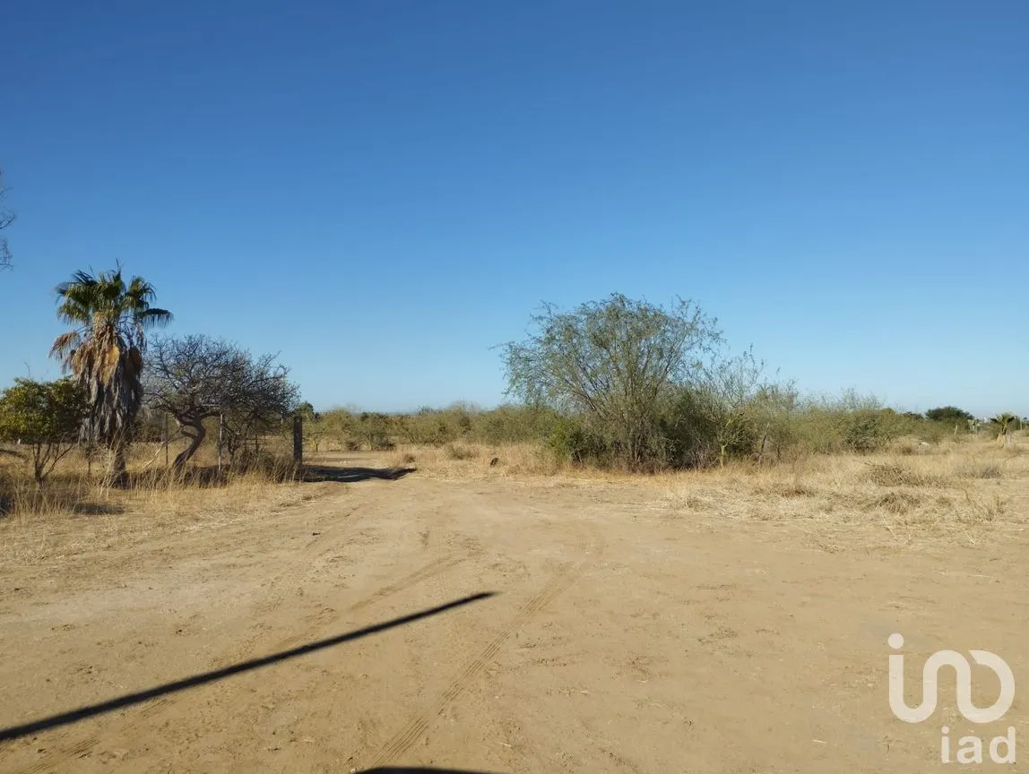 Terreno en Venta en Villas de La Paz, La Paz, Baja California Sur | NEX-237187 | iad México | Foto 5 de 12