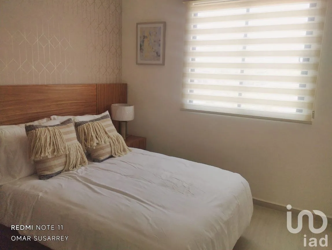 Casa en Venta en San Rafael, La Paz, Baja California Sur | NEX-247667 | iad México | Foto 12 de 16