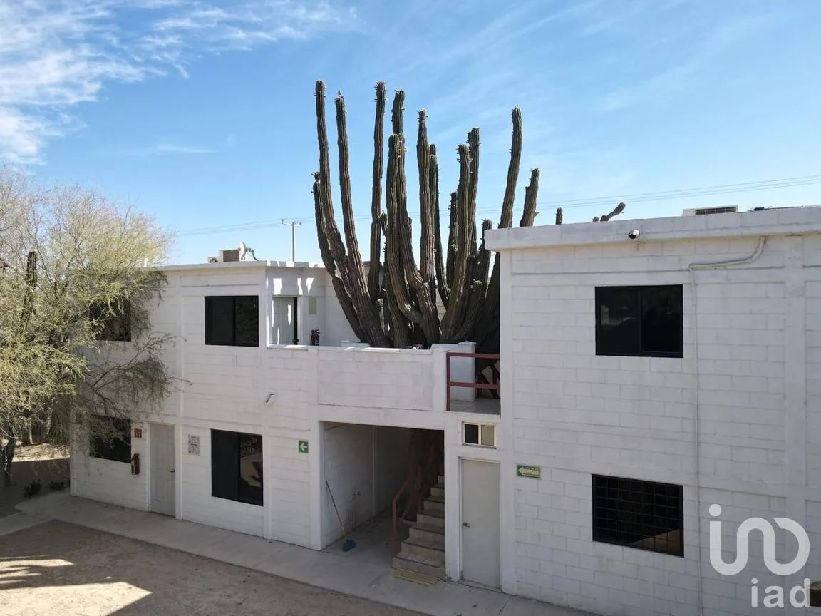 Bodega en Venta en Agua Escondida, La Paz, Baja California Sur | NEX-250083 | iad México | Foto 7 de 14