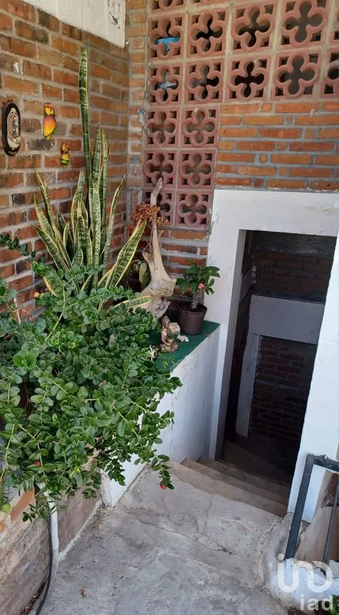 Casa en Venta en Zona Central, La Paz, Baja California Sur | NEX-252987 | iad México | Foto 57 de 60