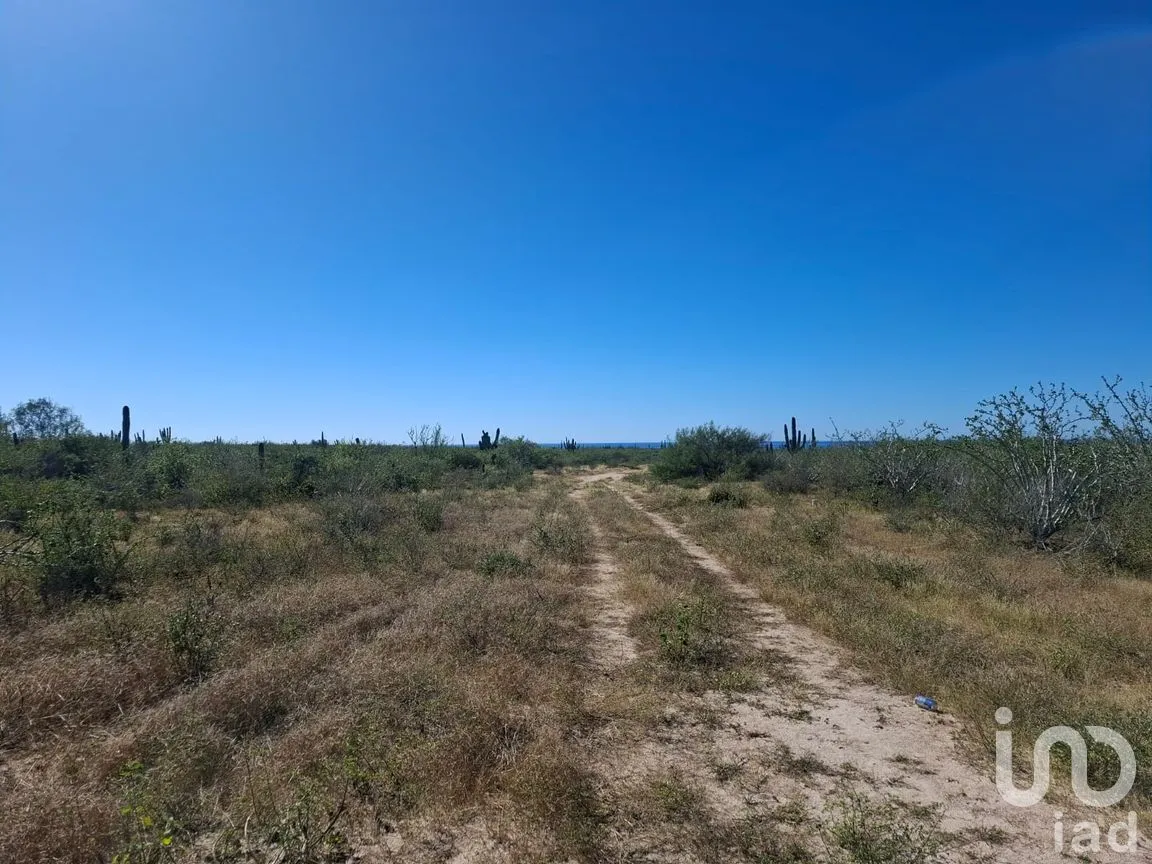 Terreno en Venta en Agua Blanca, La Paz, Baja California Sur | NEX-283274 | iad México | Foto 2 de 15