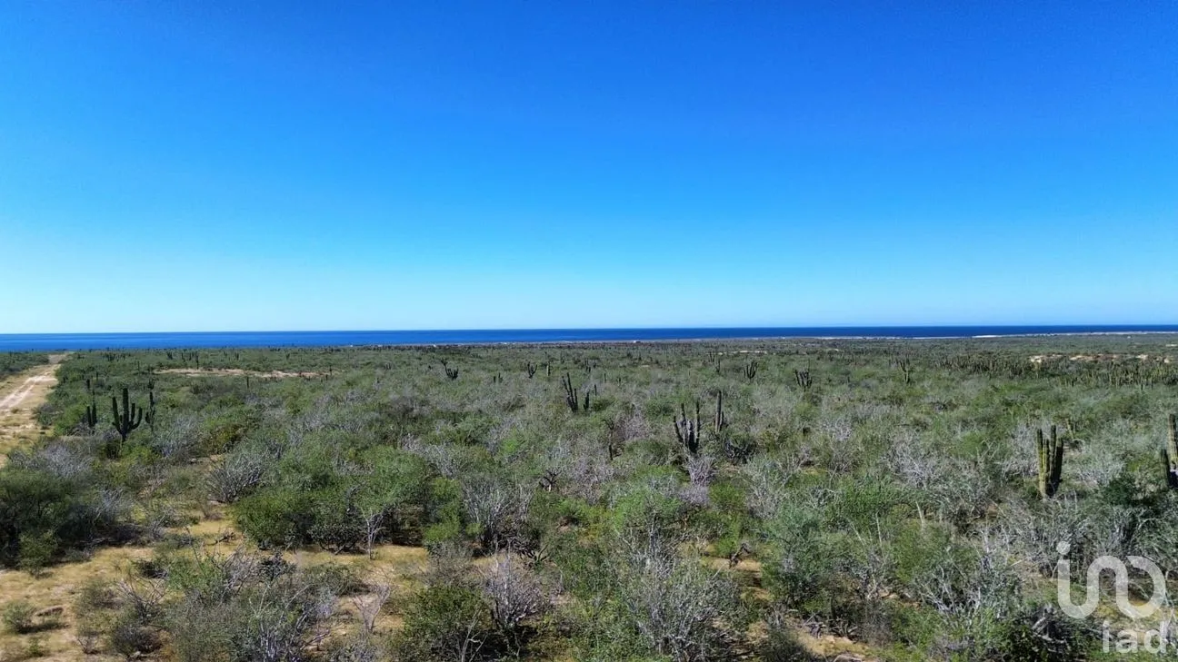 Terreno en Venta en Agua Blanca, La Paz, Baja California Sur | NEX-283274 | iad México | Foto 13 de 15