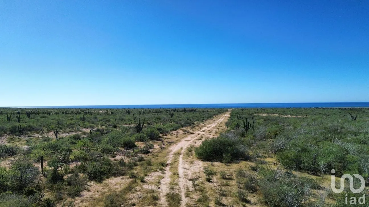 Terreno en Venta en Agua Blanca, La Paz, Baja California Sur | NEX-283274 | iad México | Foto 8 de 15
