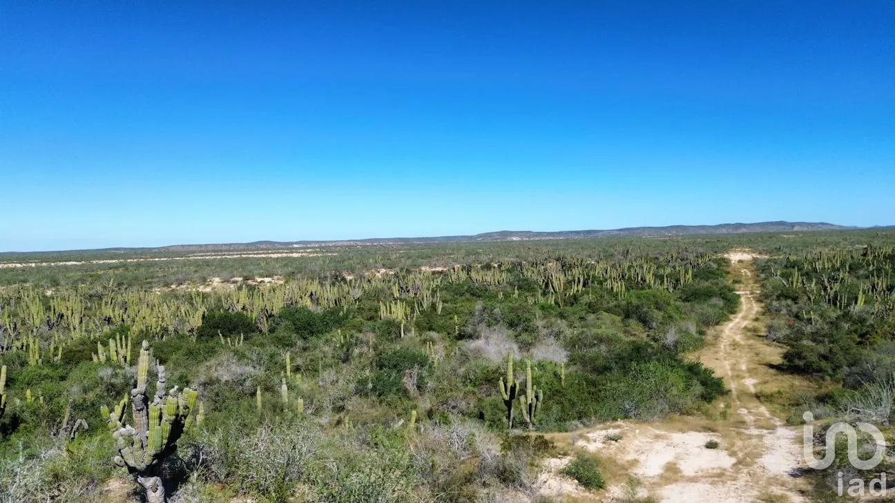 Terreno en Venta en Agua Blanca, La Paz, Baja California Sur | NEX-283274 | iad México | Foto 9 de 15