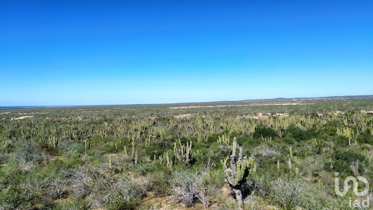 Terreno en Venta en Agua Blanca, La Paz, Baja California Sur | NEX-283274 | iad México | Foto 10 de 15