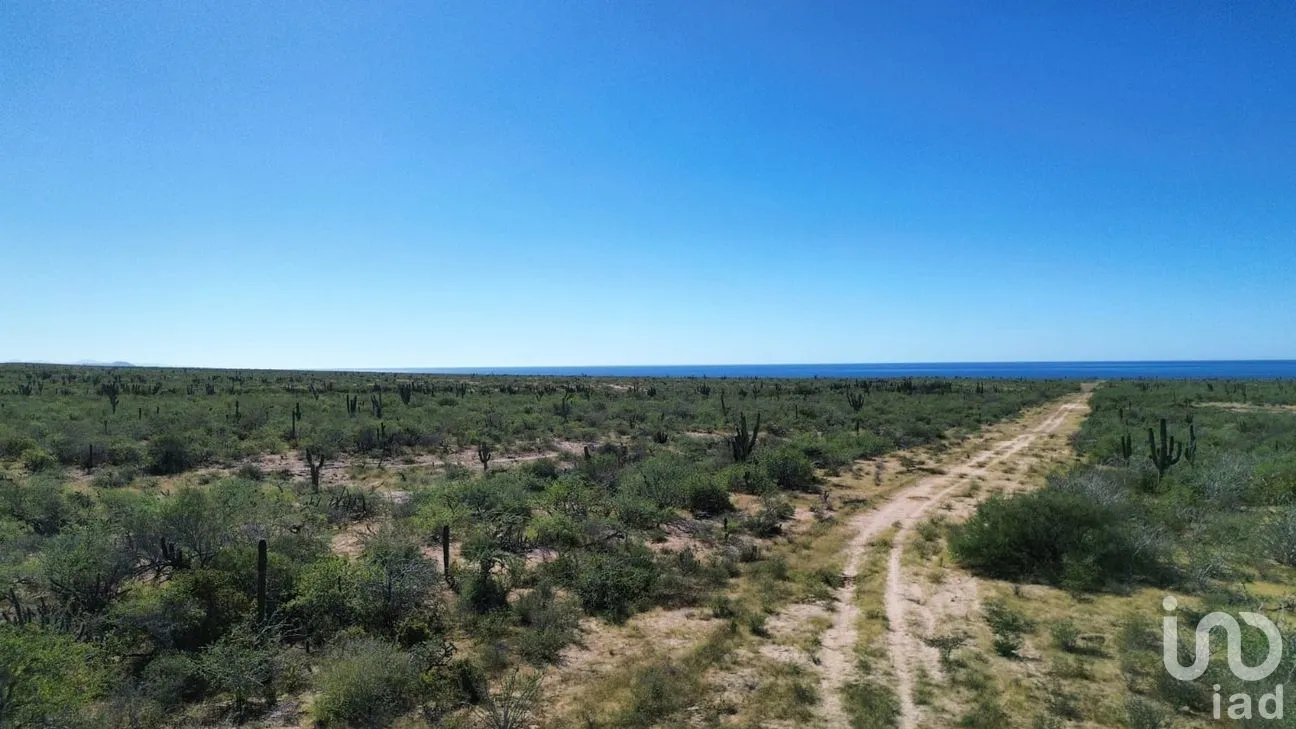 Terreno en Venta en Agua Blanca, La Paz, Baja California Sur | NEX-283279 | iad México | Foto 12 de 14