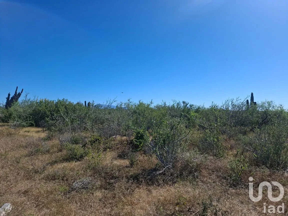 Terreno en Venta en Agua Blanca, La Paz, Baja California Sur | NEX-283279 | iad México | Foto 3 de 14