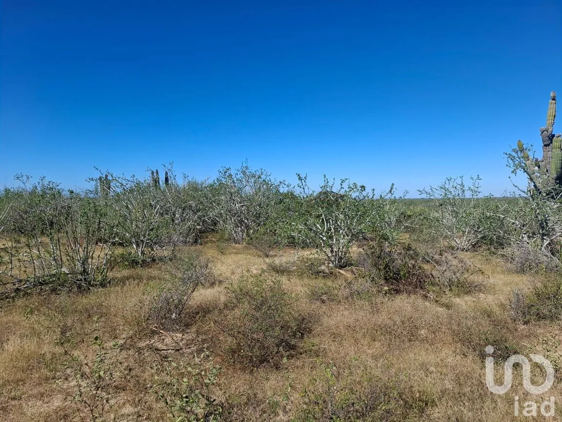 Terreno en Venta en Agua Blanca, La Paz, Baja California Sur | NEX-283279 | iad México | Foto 4 de 14
