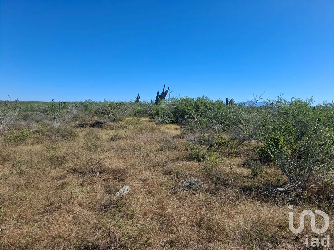 Terreno en Venta en Agua Blanca, La Paz, Baja California Sur | NEX-283279 | iad México | Foto 5 de 14