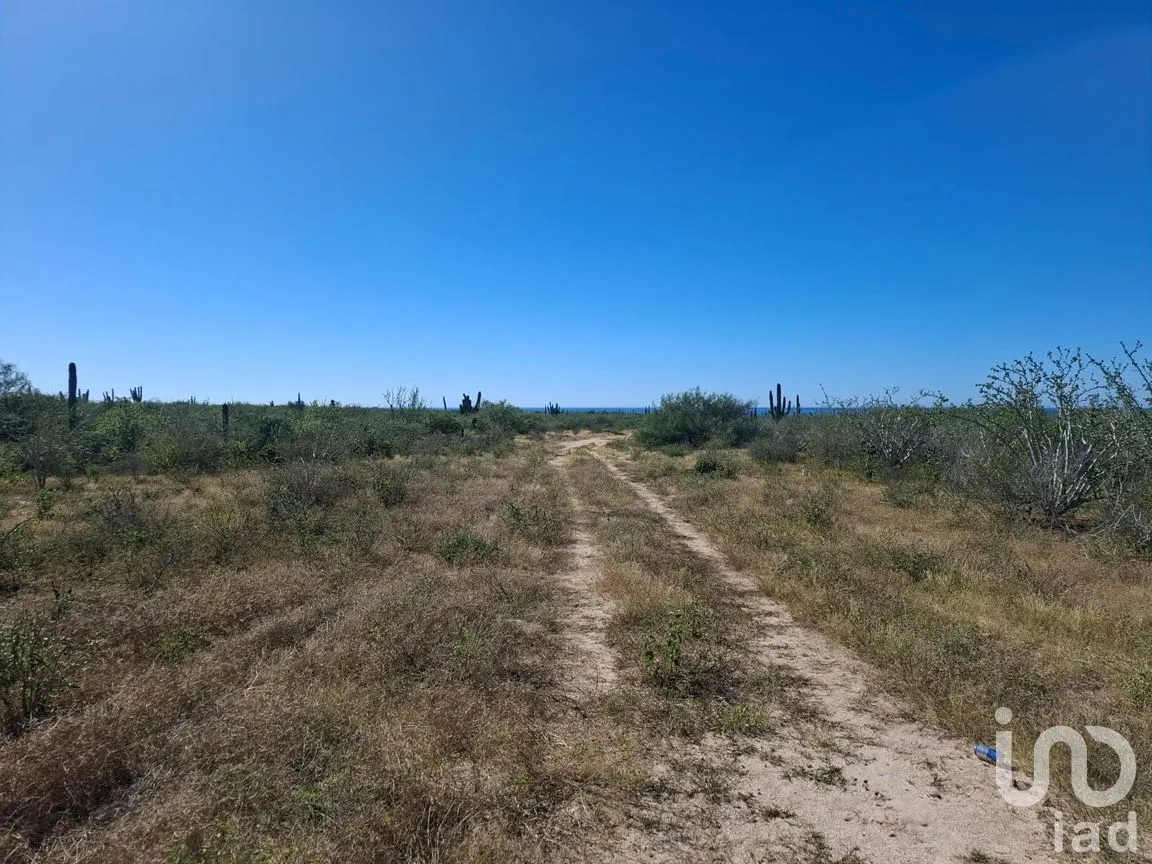 Terreno en Venta en Agua Blanca, La Paz, Baja California Sur | NEX-283279 | iad México | Foto 6 de 14