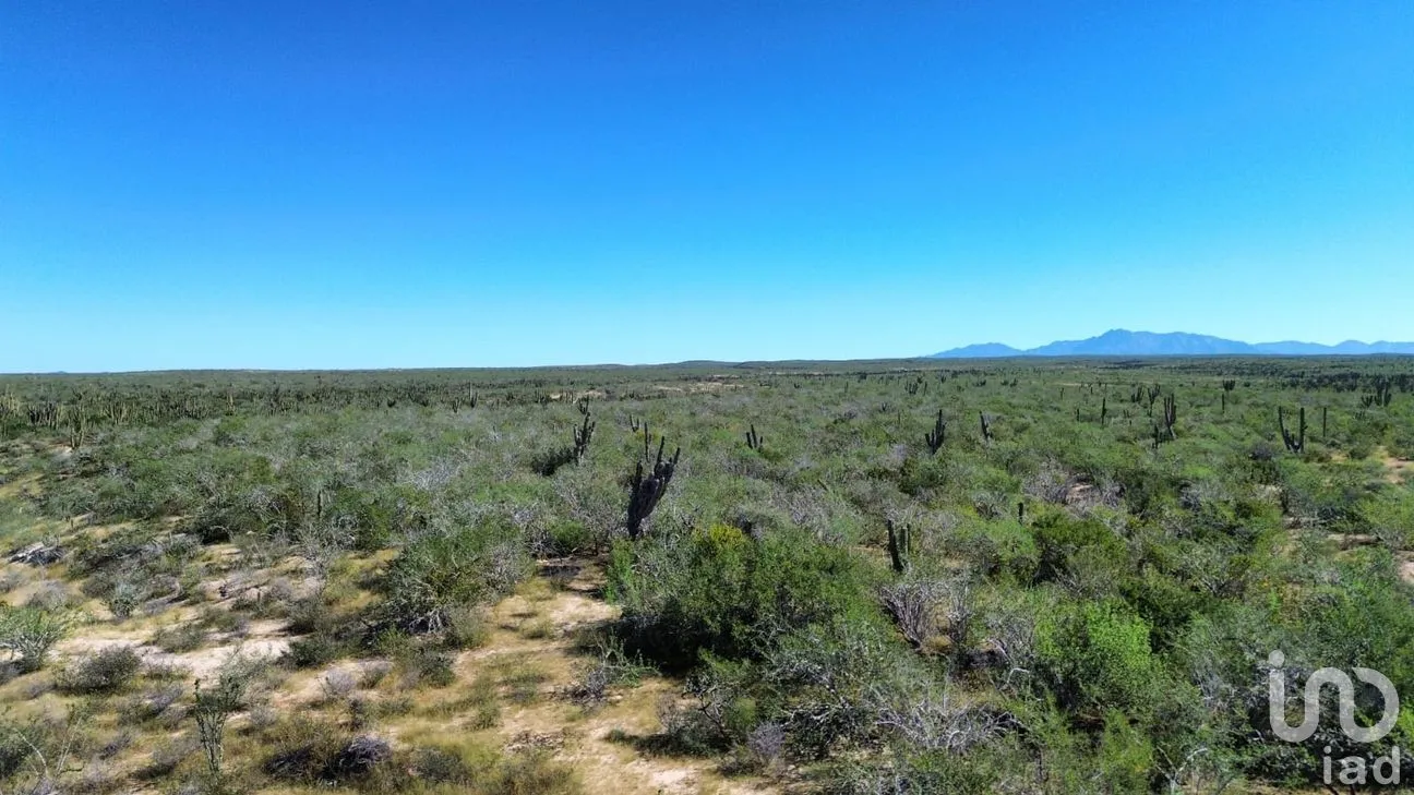 Terreno en Venta en Agua Blanca, La Paz, Baja California Sur | NEX-283279 | iad México | Foto 9 de 14