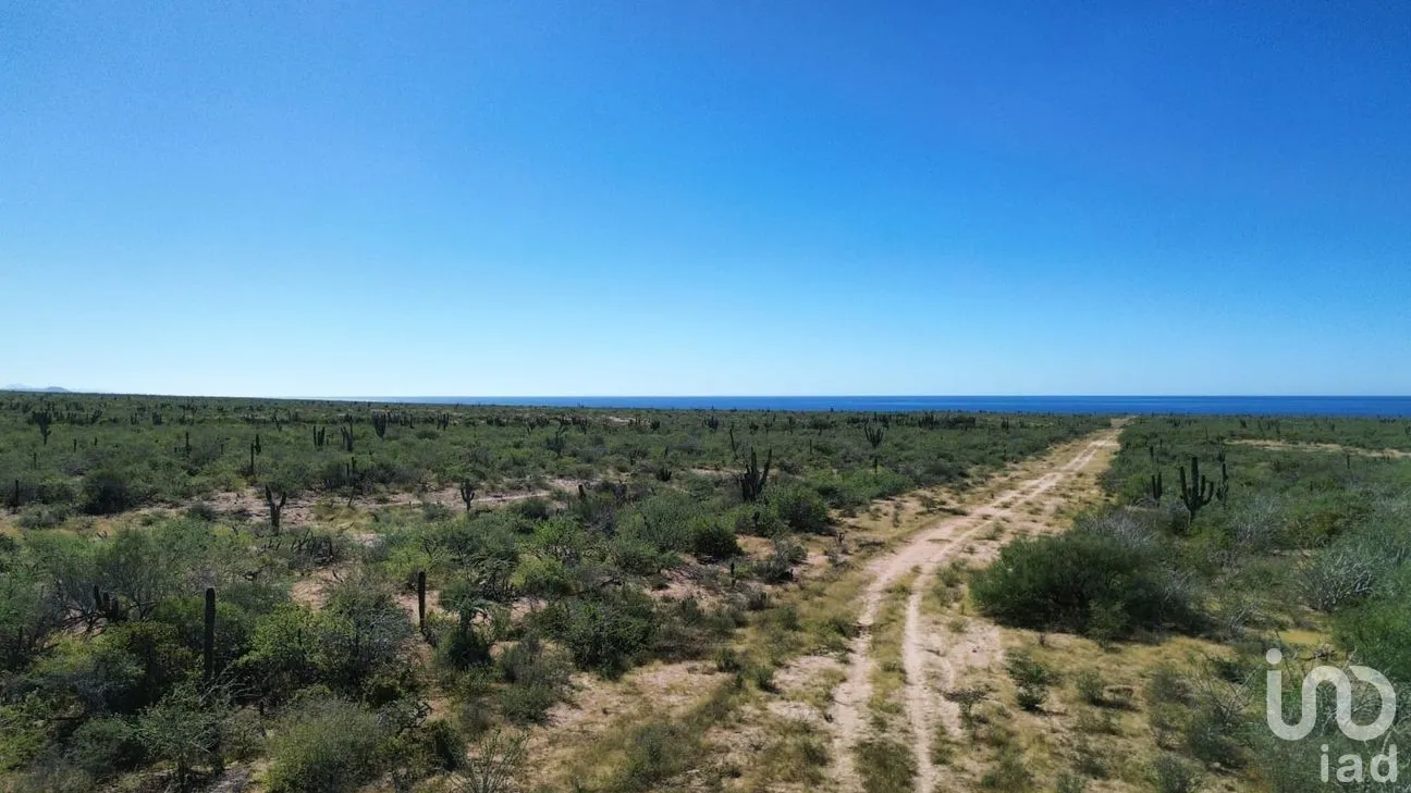 Terreno en Venta en Agua Blanca, La Paz, Baja California Sur | NEX-283279 | iad México | Foto 10 de 14