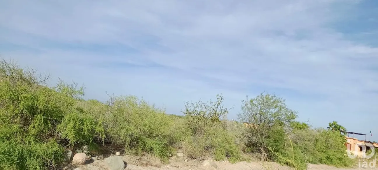 Terreno en Venta en Los Barriles, La Paz, Baja California Sur | NEX-286537 | iad México | Foto 8 de 14