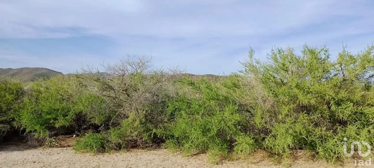 Terreno en Venta en Los Barriles, La Paz, Baja California Sur | NEX-286537 | iad México | Foto 9 de 14