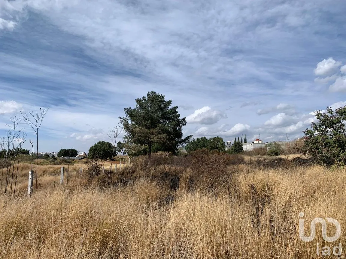 Terreno en Venta en Miraflores, Tlaxcala, Tlaxcala | NEX-241043 | iad México | Foto 12 de 12