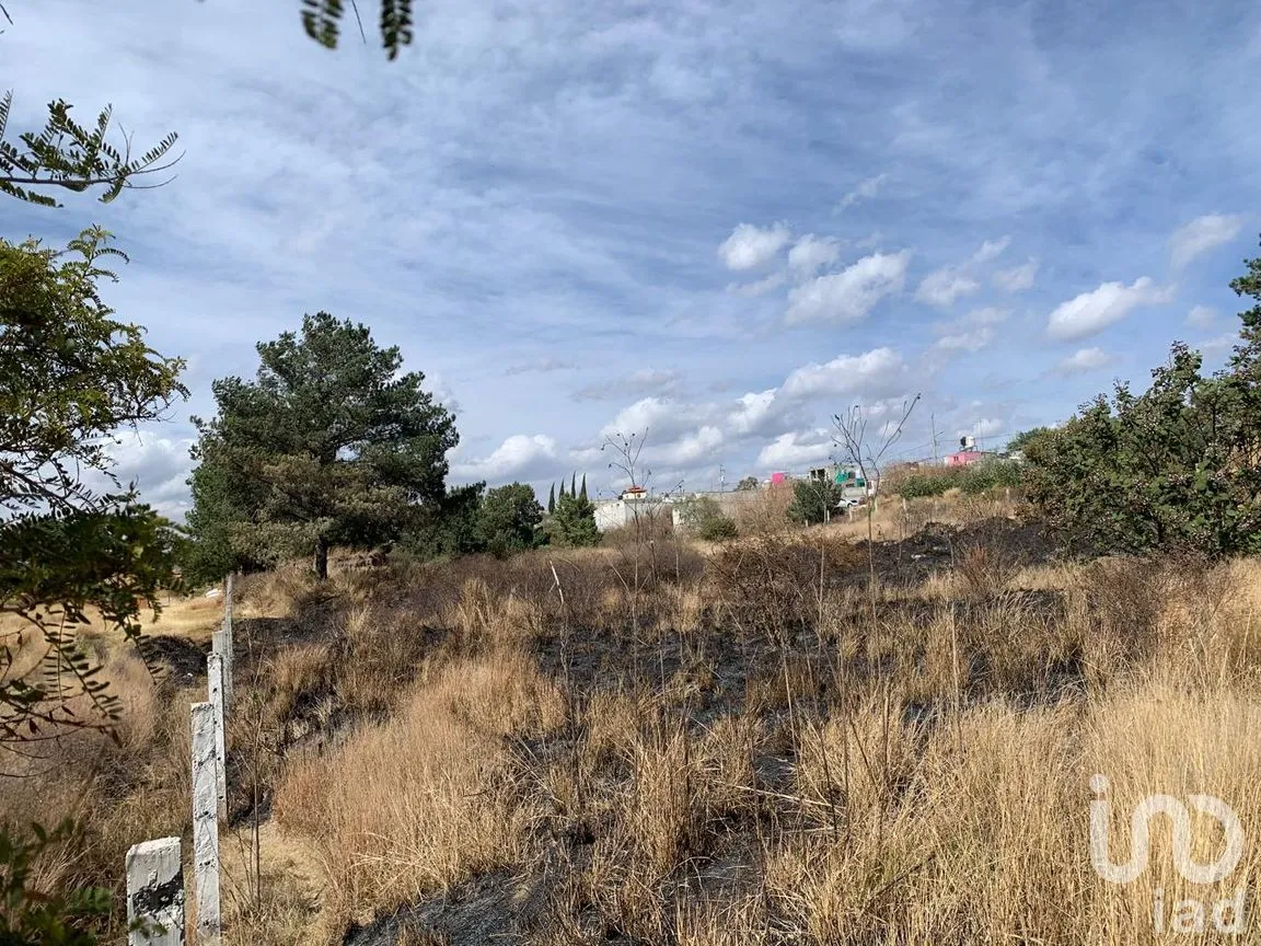 Terreno en Venta en Miraflores, Tlaxcala, Tlaxcala | NEX-241043 | iad México | Foto 10 de 12