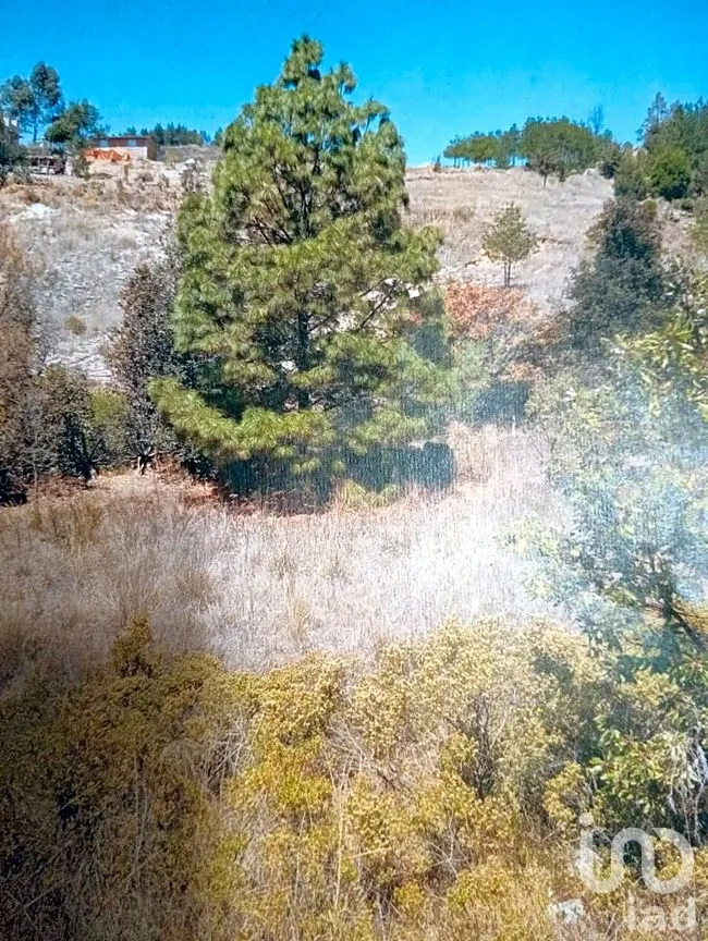 Terreno en Venta en La Purísima, Ixtlahuaca, México | NEX-261537 | iad México | Foto 2 de 5