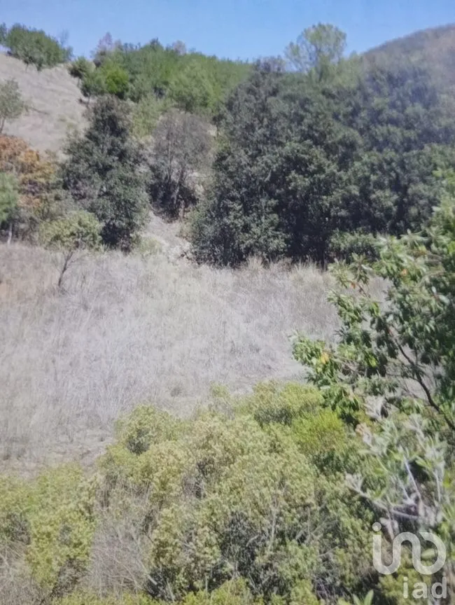 Terreno en Venta en La Purísima, Ixtlahuaca, México | NEX-261537 | iad México | Foto 3 de 5