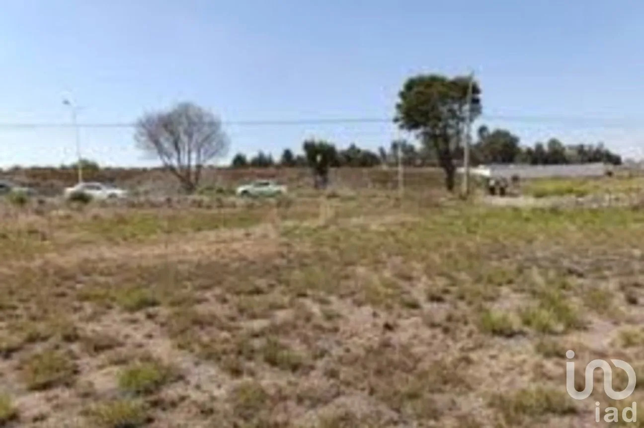Terreno en Venta en La Purísima, Ixtlahuaca, México | NEX-261537 | iad México | Foto 4 de 5