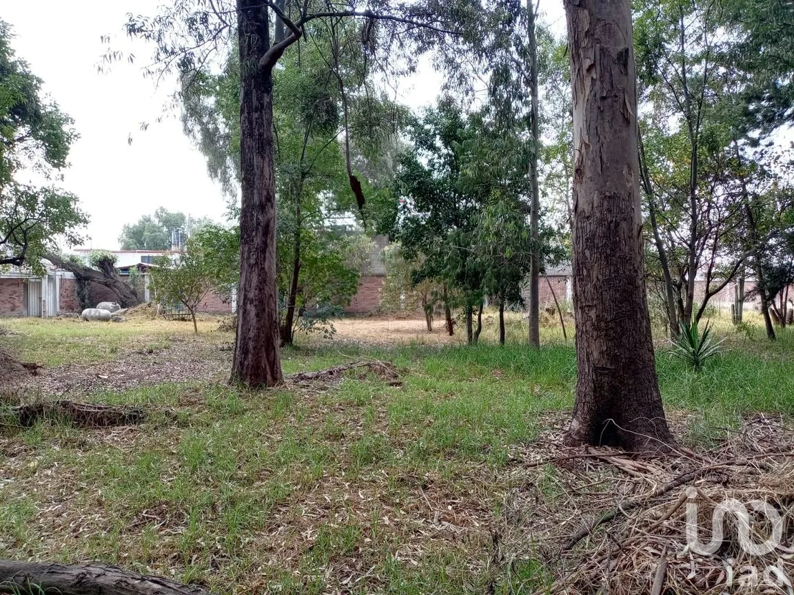 Terreno en Venta en Ixtapaluca Centro, Ixtapaluca, México | NEX-157987 | iad México | Foto 5 de 12