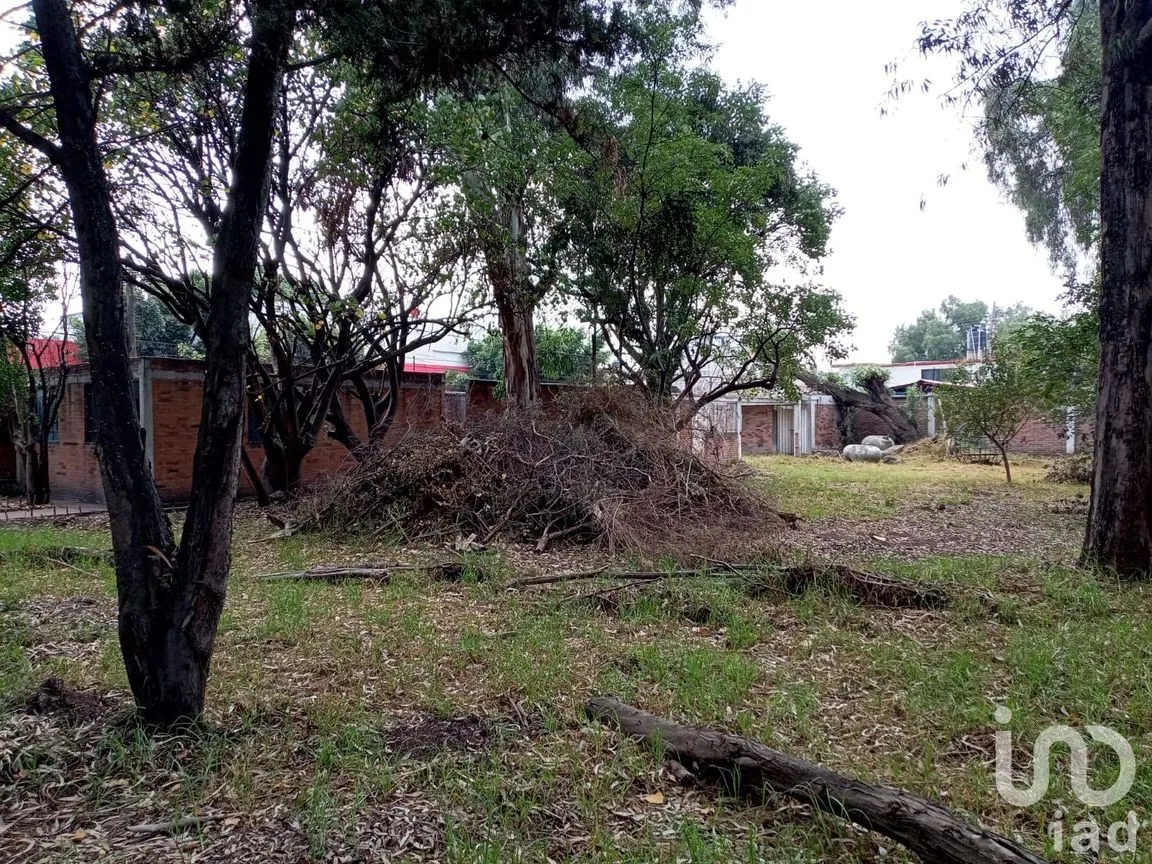 Terreno en Venta en Ixtapaluca Centro, Ixtapaluca, México | NEX-157987 | iad México | Foto 6 de 12