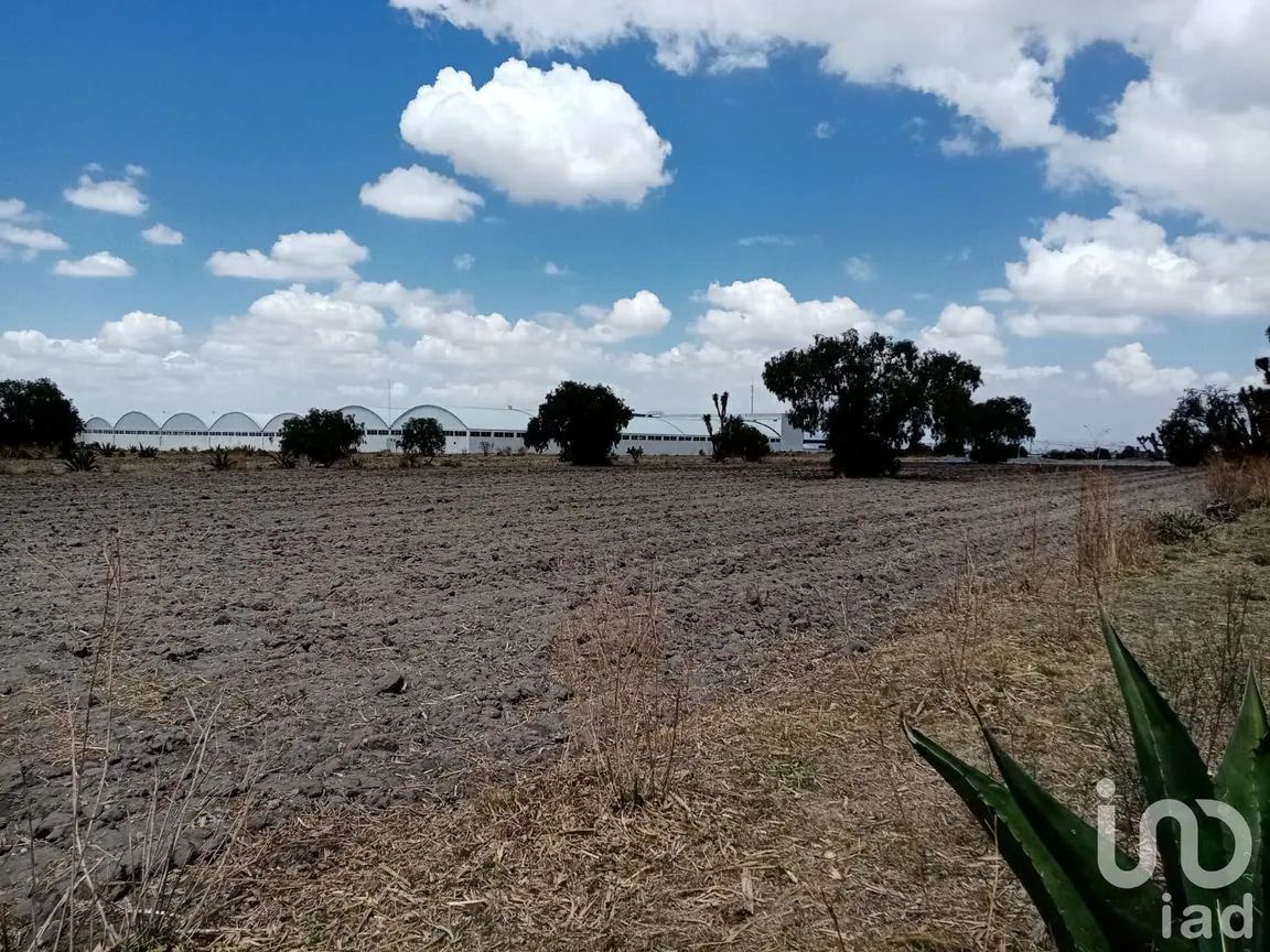Terreno en Venta en San Francisco Zacacalco, Hueypoxtla, México | NEX-169002 | iad México | Foto 2 de 5