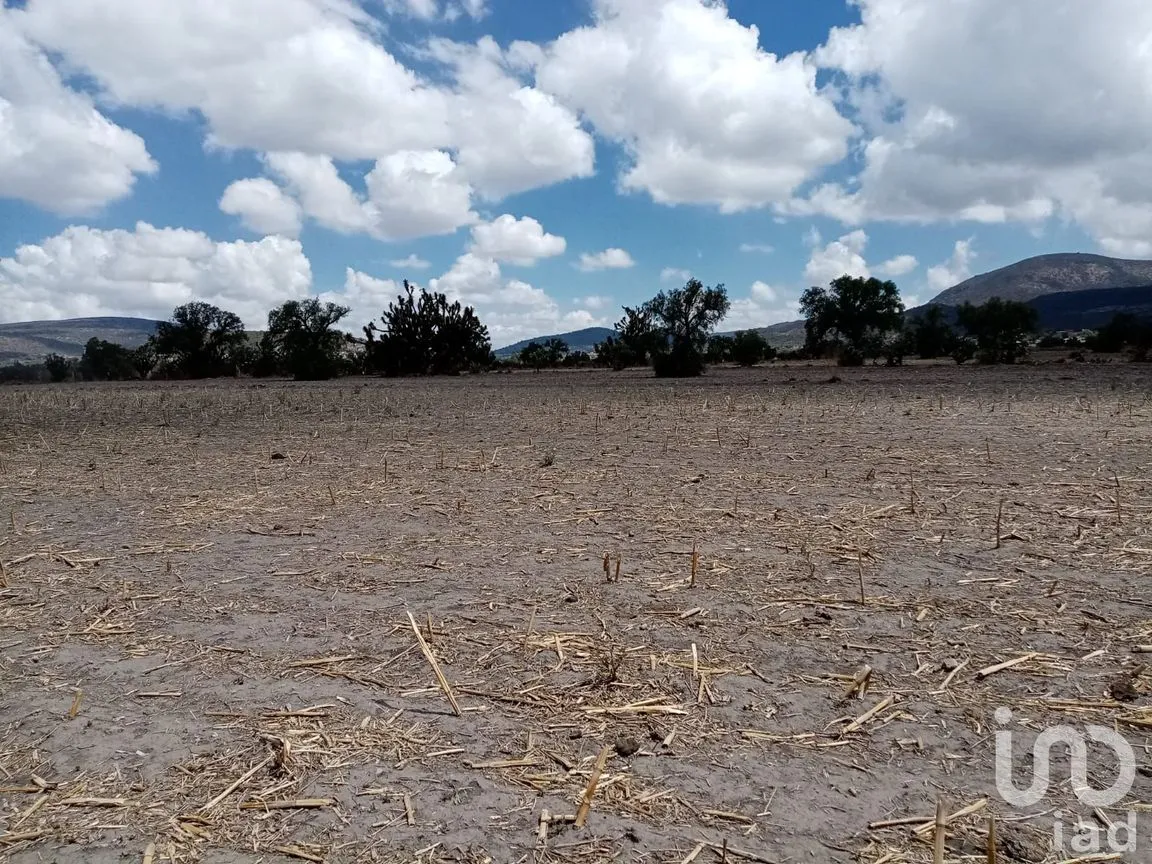 Terreno en Venta en San Francisco Zacacalco, Hueypoxtla, México | NEX-169002 | iad México | Foto 4 de 5