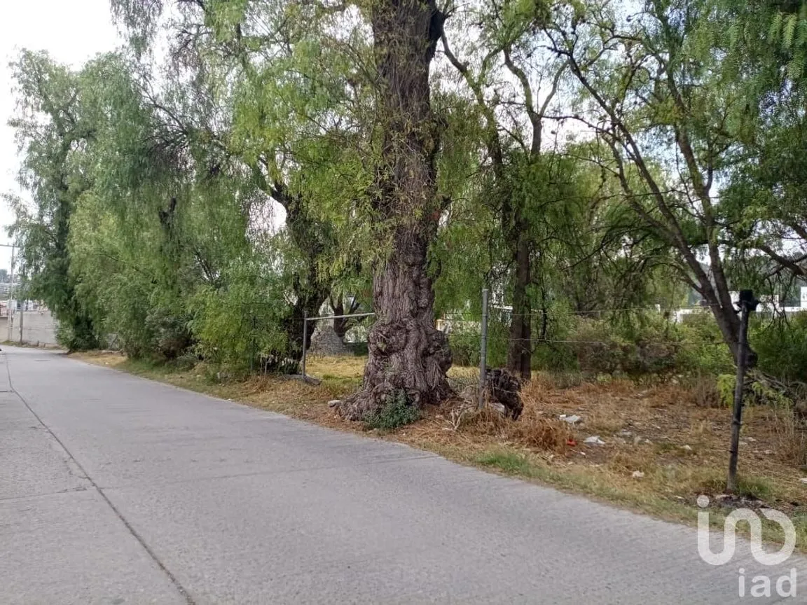 Terreno en Venta en Los Sabinos, Tula de Allende, Hidalgo | NEX-203438 | iad México | Foto 6 de 12