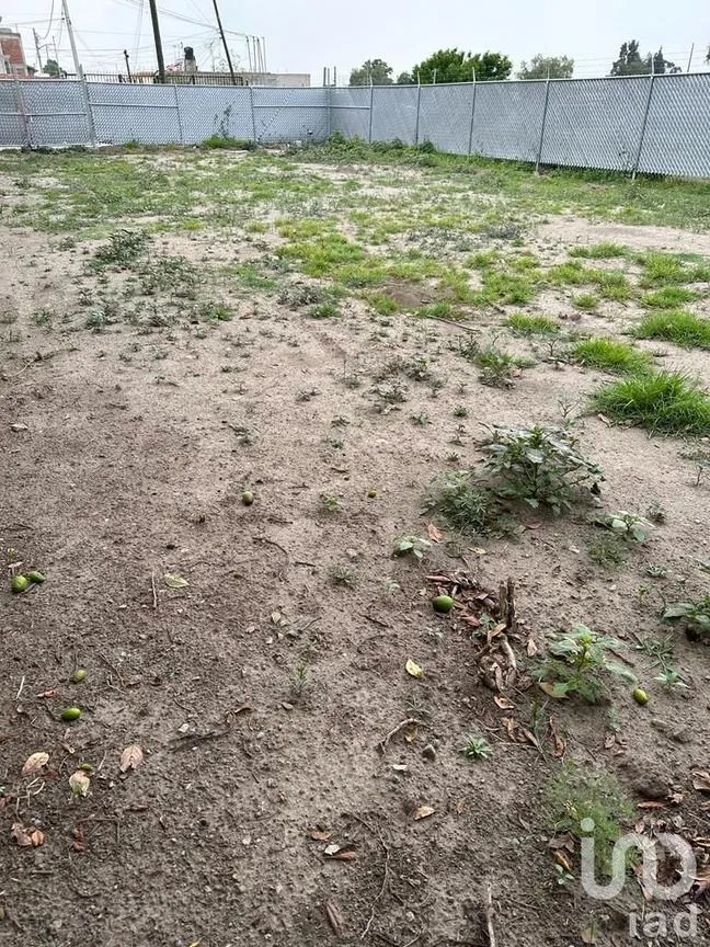 Terreno en Renta en San Sebastián, Texcoco, México | NEX-184088 | iad México | Foto 4 de 8