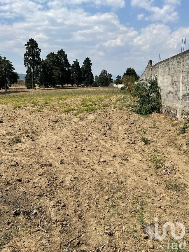 Terreno en Renta en Santiago, Ozumba, México | NEX-234977 | iad México | Foto 12 de 13