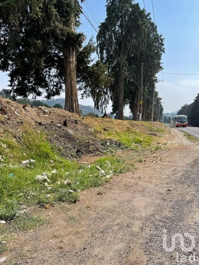 Terreno en Renta en Santiago, Ozumba, México | NEX-234977 | iad México | Foto 3 de 13