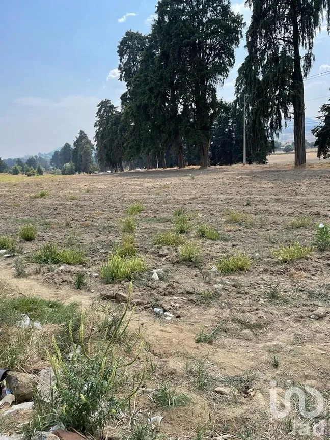 Terreno en Renta en Santiago, Ozumba, México | NEX-234977 | iad México | Foto 4 de 13