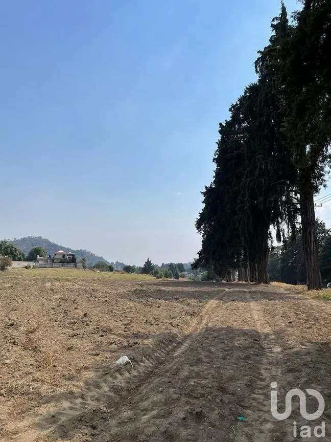Terreno en Renta en Santiago, Ozumba, México | NEX-234977 | iad México | Foto 5 de 13