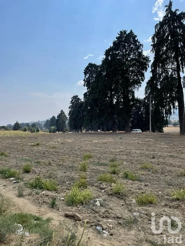 Terreno en Renta en Santiago, Ozumba, México | NEX-234977 | iad México | Foto 6 de 13