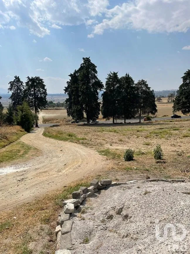 Terreno en Renta en Santiago, Ozumba, México | NEX-234977 | iad México | Foto 7 de 13