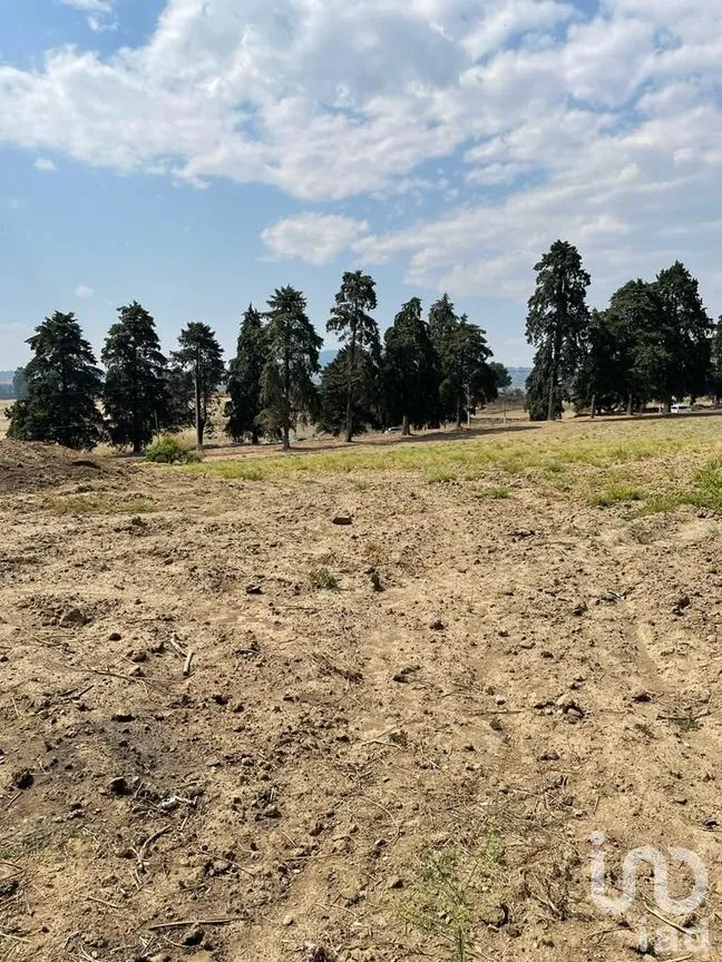 Terreno en Renta en Santiago, Ozumba, México | NEX-234977 | iad México | Foto 8 de 13