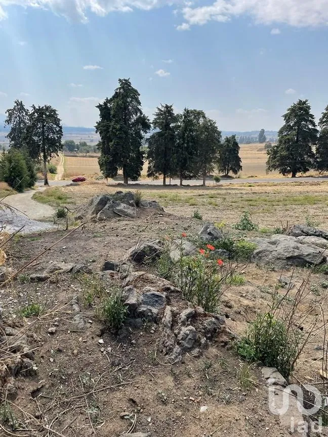 Terreno en Renta en Santiago, Ozumba, México | NEX-234977 | iad México | Foto 9 de 13